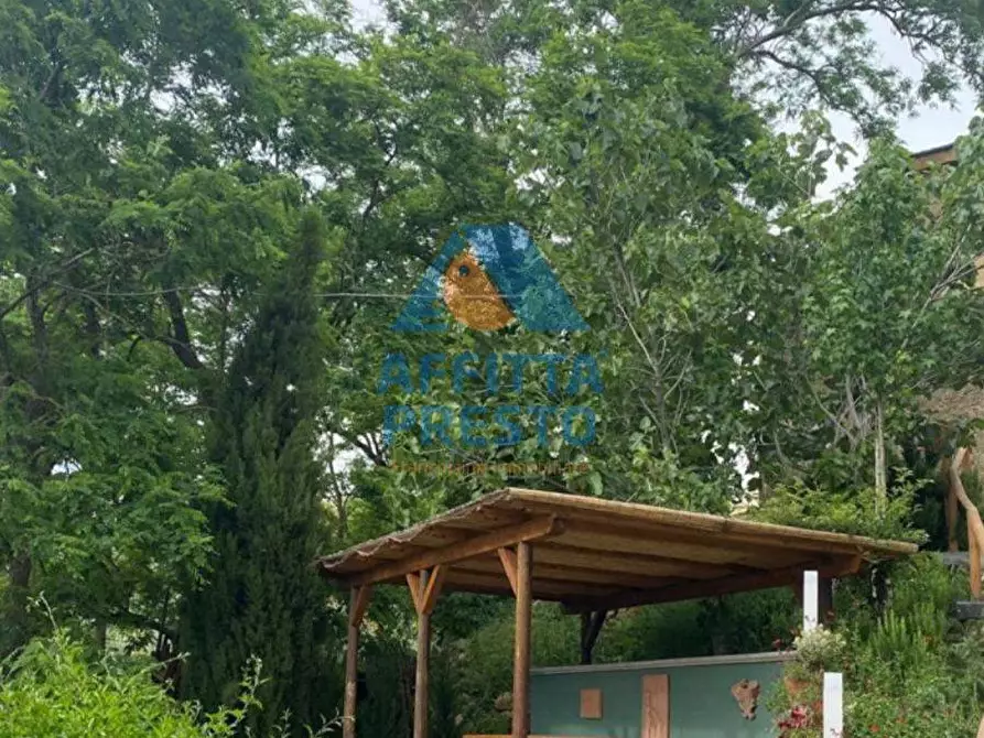 Immagine 10 di Appartamento in affitto  a Montelupo Fiorentino