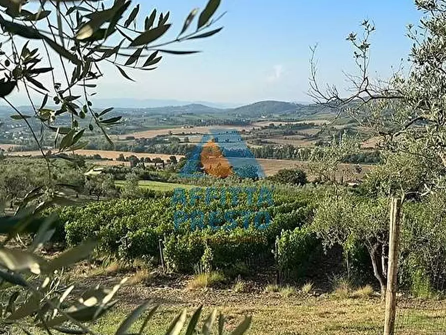 Immagine 1 di Attività commerciale in vendita  a Empoli