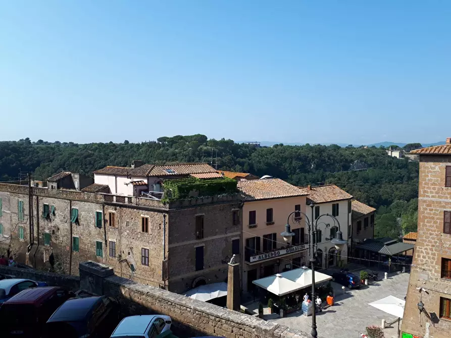 Immagine 21 di Appartamento in vendita  a Pitigliano