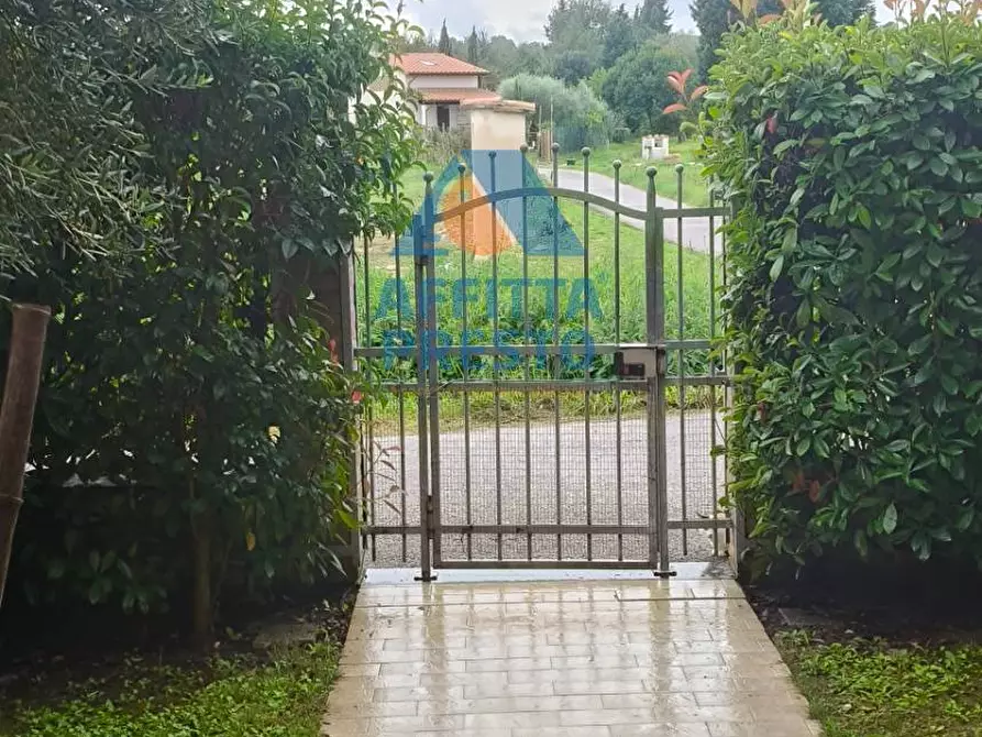 Immagine 12 di Appartamento in affitto  a San Miniato