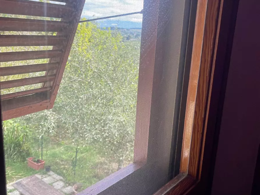 Immagine 3 di Appartamento in affitto  a Empoli
