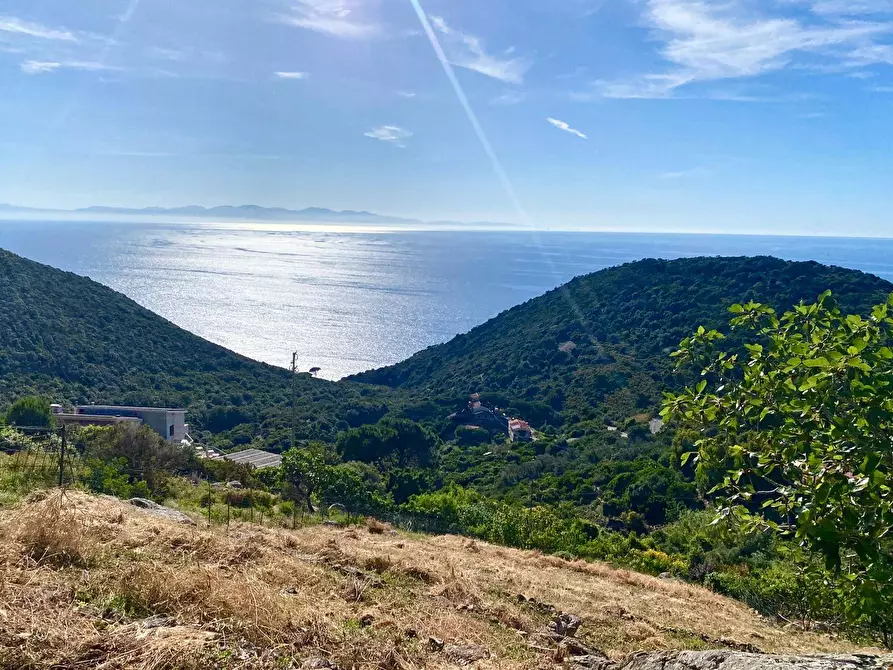 Immagine 11 di Terreno residenziale in vendita  a Marciana