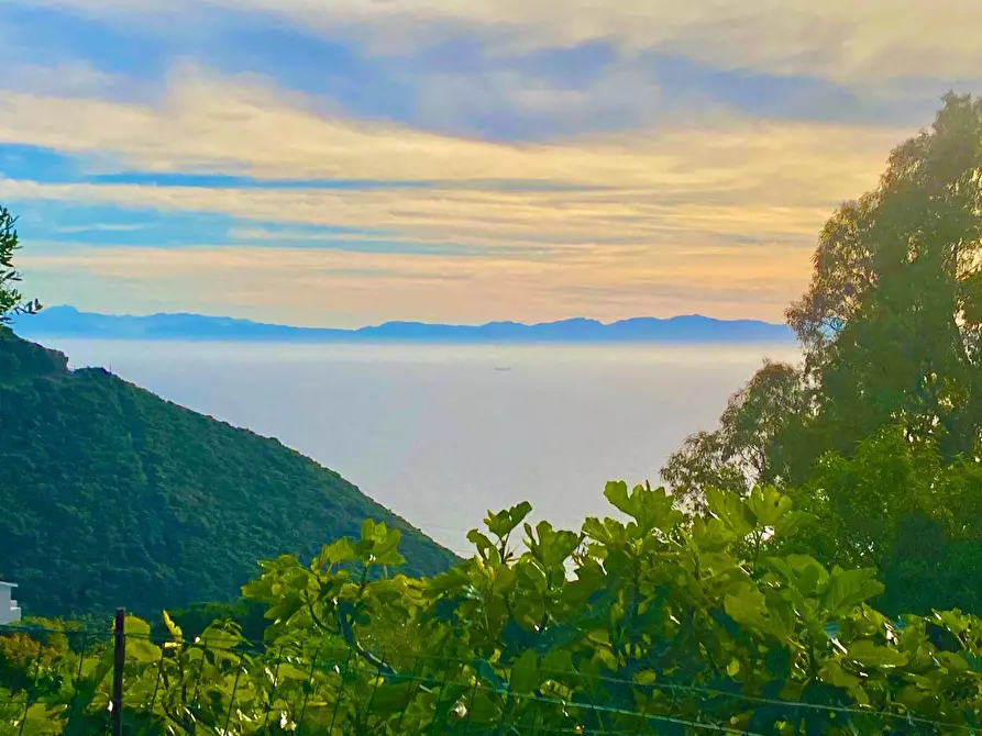 Immagine 1 di Terreno residenziale in vendita  a Marciana