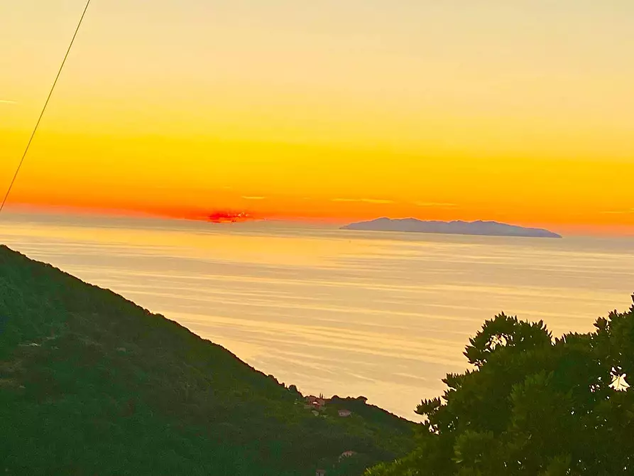 Immagine 2 di Terreno residenziale in vendita  a Marciana