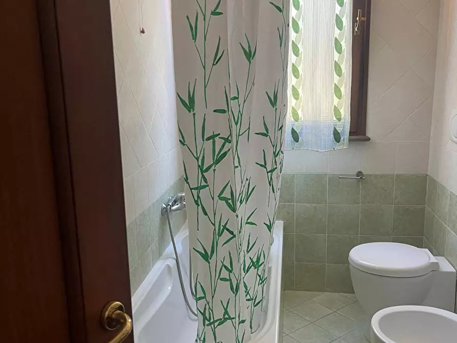 Immagine 4 di Casa semindipendente in affitto  a Montopoli In Val D'arno