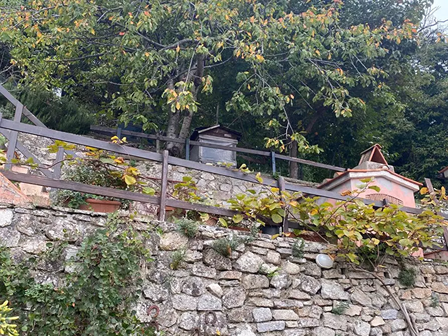 Immagine 7 di Appartamento in vendita  a Marciana