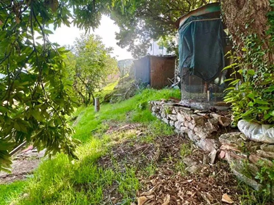 Immagine 24 di Appartamento in vendita  a Marciana