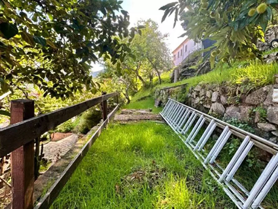 Immagine 25 di Appartamento in vendita  a Marciana