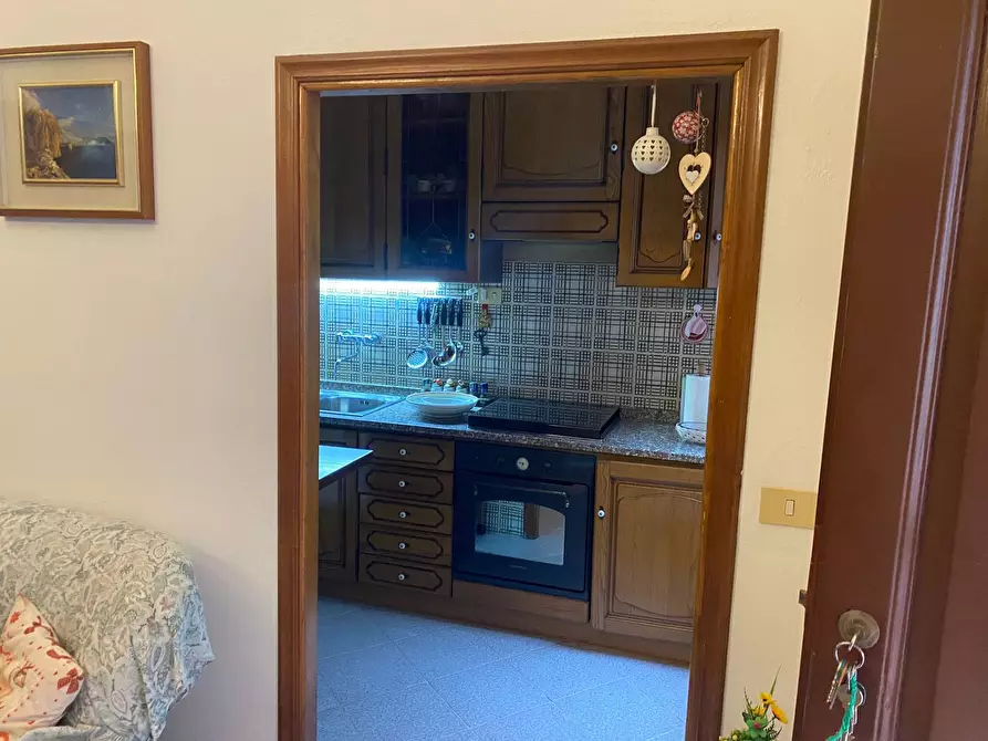 Immagine 38 di Appartamento in vendita  a Marciana