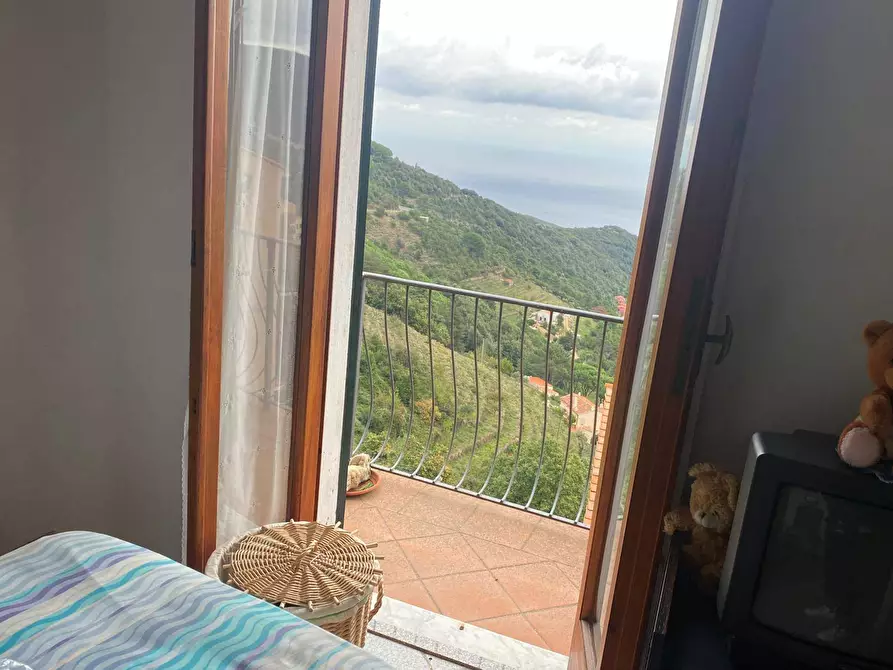 Immagine 41 di Appartamento in vendita  a Marciana