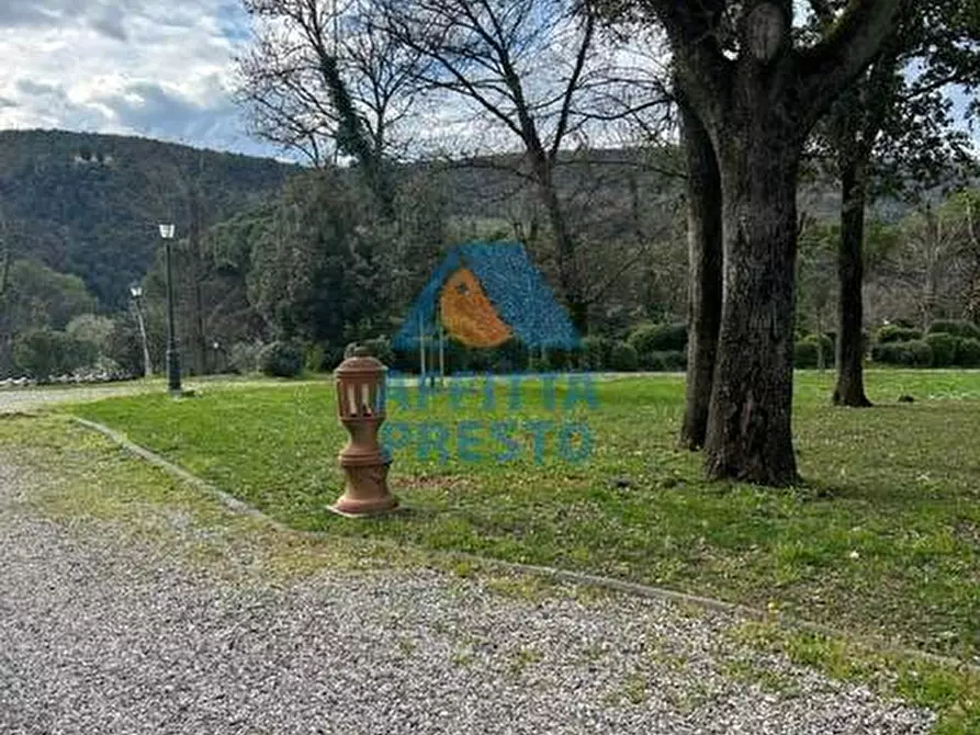 Immagine 12 di Appartamento in affitto  a Montelupo Fiorentino