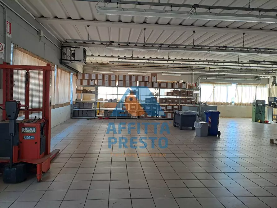 Immagine 19 di Laboratorio in affitto  a Capraia E Limite