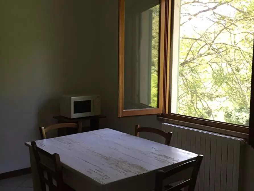 Immagine 12 di Appartamento in affitto  a Vinci