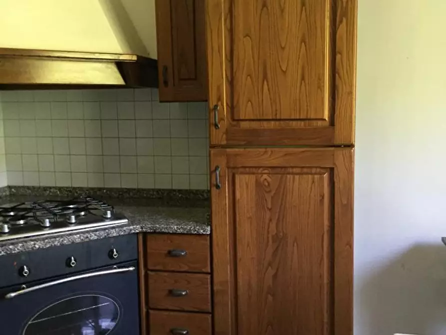 Immagine 17 di Appartamento in affitto  a Vinci