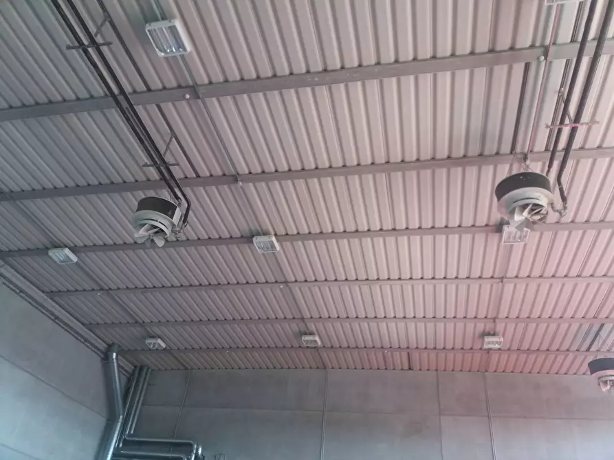 Immagine 2 di Capannone industriale in affitto  a Barberino Tavarnelle