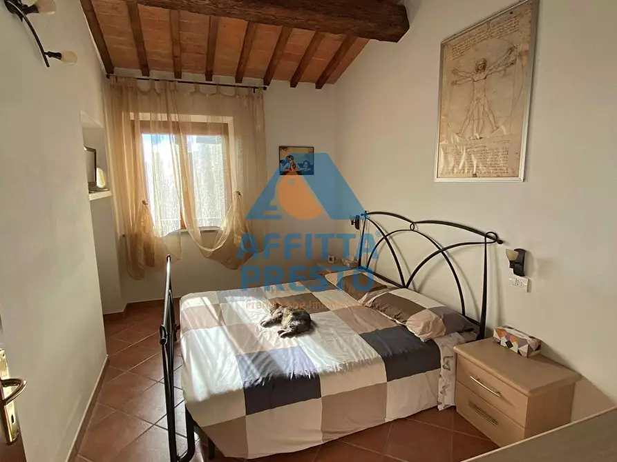 Immagine 6 di Appartamento in affitto  a Cerreto Guidi