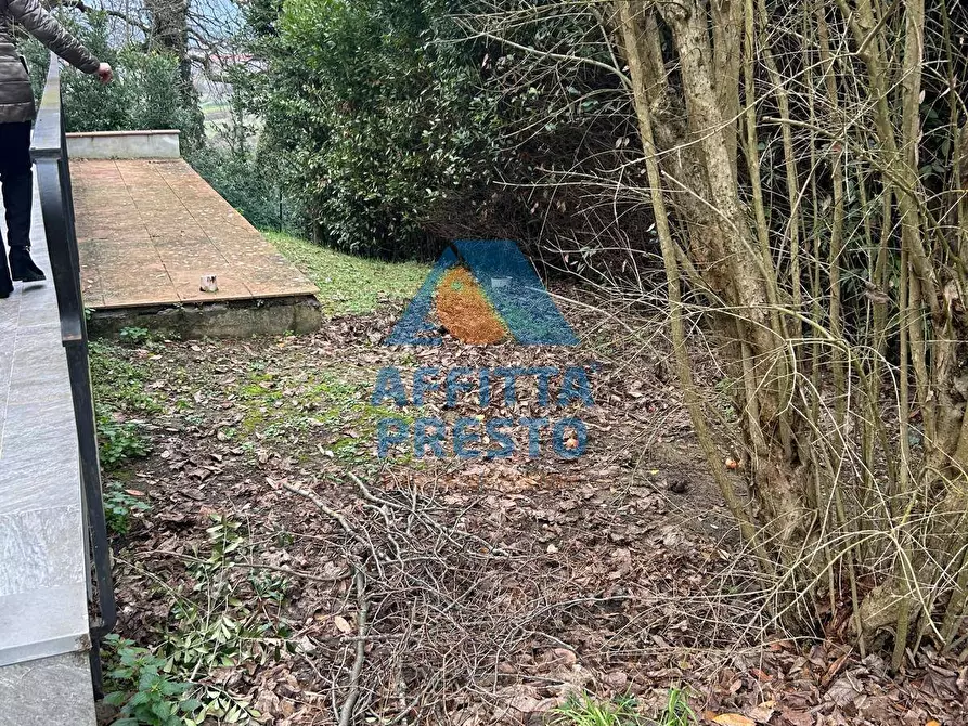 Immagine 20 di Appartamento in affitto  a Empoli