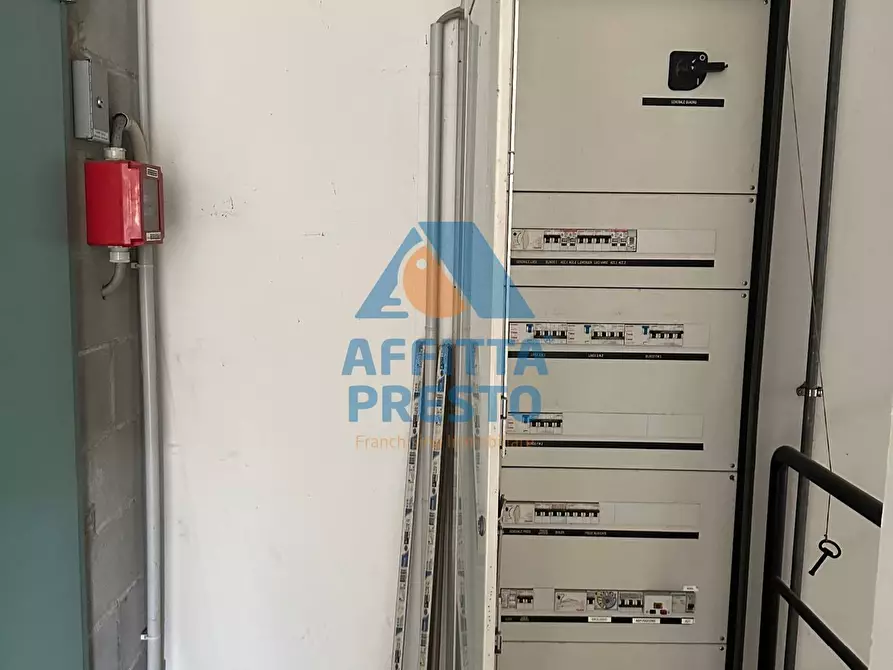 Immagine 4 di Capannone industriale in affitto  a Vinci