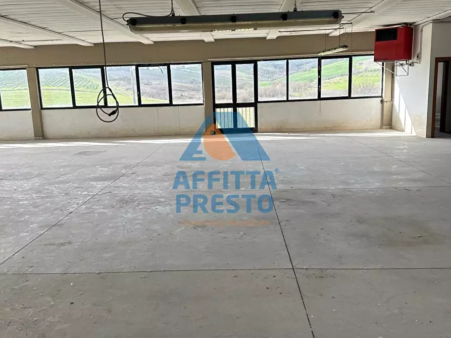 Immagine 6 di Capannone industriale in affitto  a Vinci