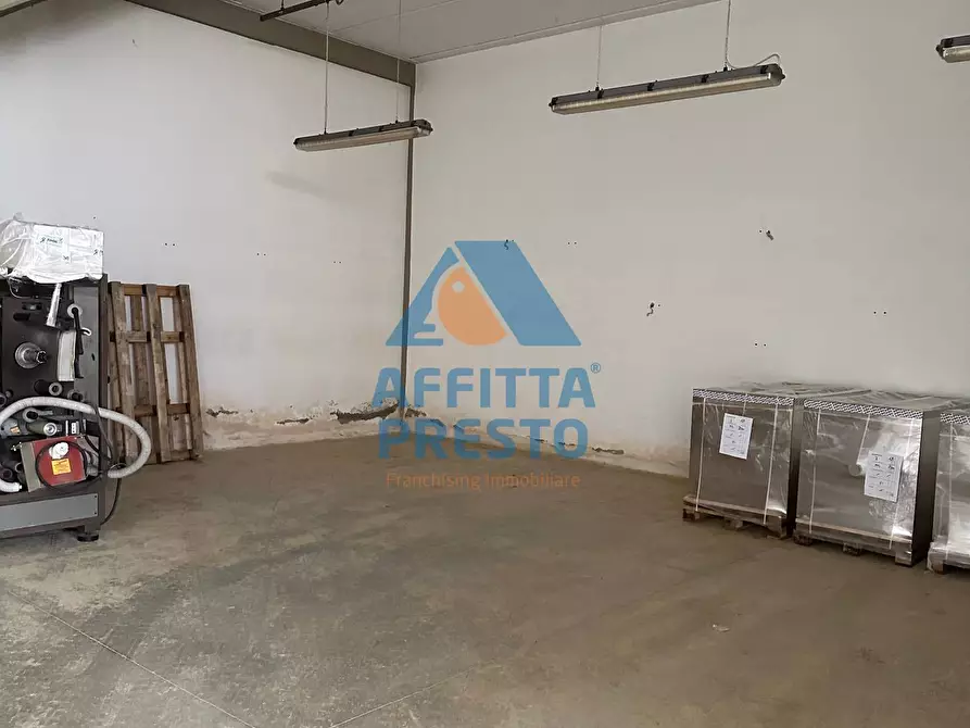 Immagine 12 di Capannone industriale in affitto  a Vinci
