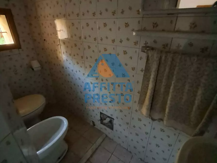 Immagine 4 di Appartamento in vendita  a Castelfiorentino