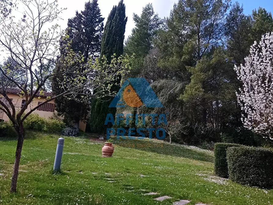 Immagine 12 di Appartamento in affitto  a Montespertoli