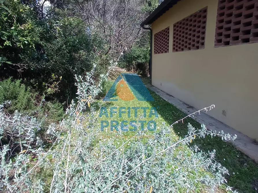Immagine 3 di Appartamento in affitto  a Lastra A Signa