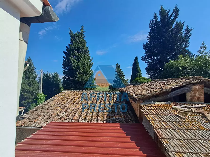 Immagine 21 di Appartamento in affitto  a Empoli