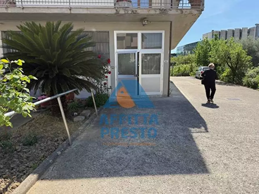 Immagine 1 di Attività commerciale in affitto  a Vinci