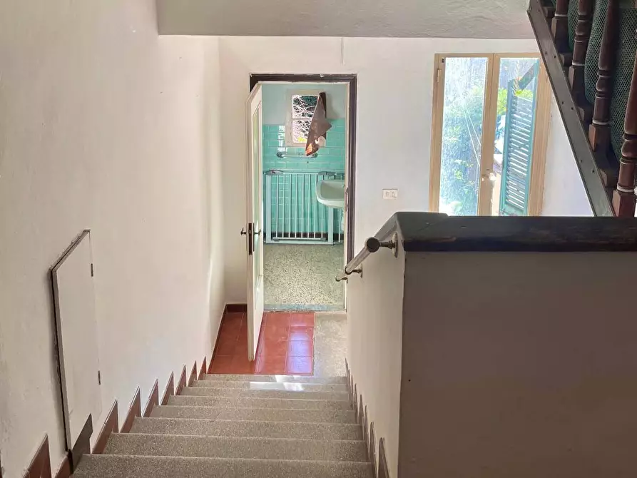 Immagine 6 di Appartamento in vendita  a Rosignano Marittimo