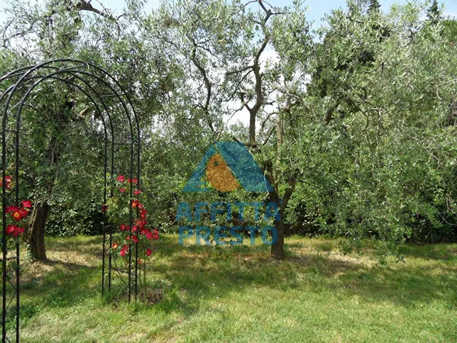 Immagine 9 di Appartamento in affitto  a Montelupo Fiorentino