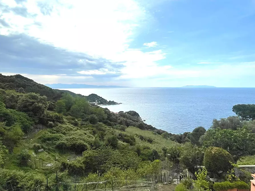 Immagine 1 di Terreno residenziale in vendita  a Marciana