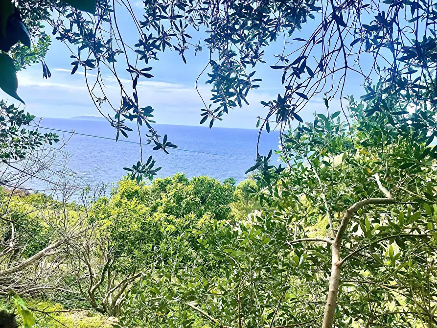 Immagine 2 di Terreno residenziale in vendita  a Marciana