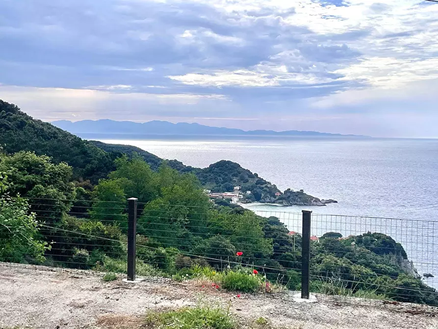 Immagine 3 di Terreno residenziale in vendita  a Marciana