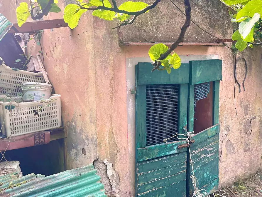 Immagine 8 di Terreno residenziale in vendita  a Marciana