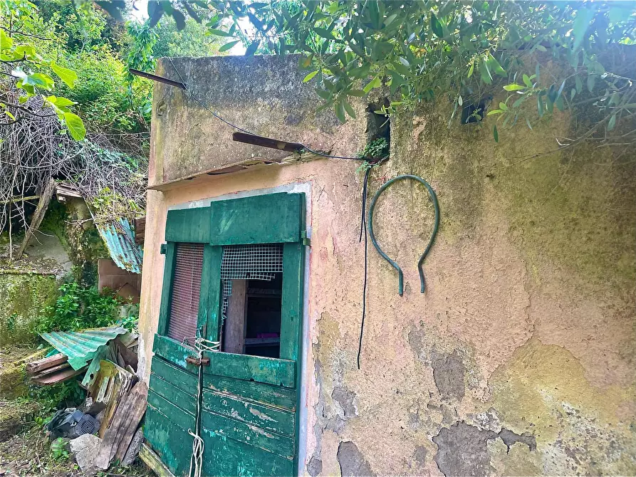 Immagine 9 di Terreno residenziale in vendita  a Marciana