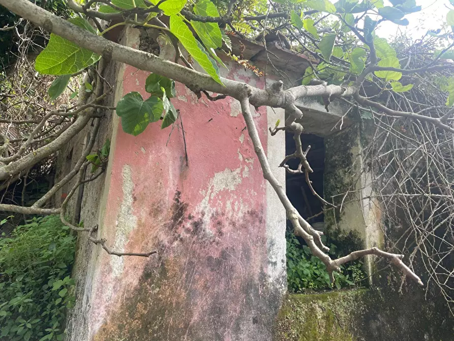 Immagine 10 di Terreno residenziale in vendita  a Marciana