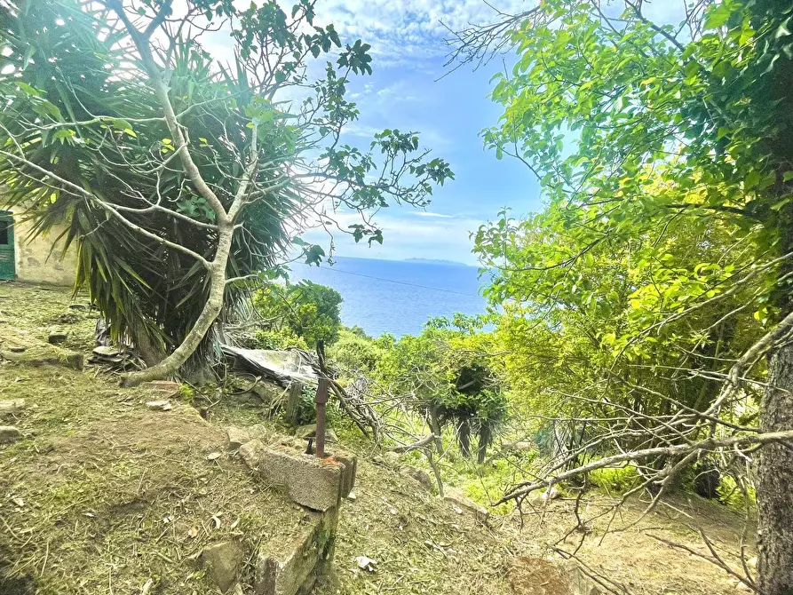 Immagine 11 di Terreno residenziale in vendita  a Marciana