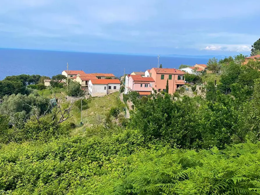 Immagine 13 di Terreno residenziale in vendita  a Marciana