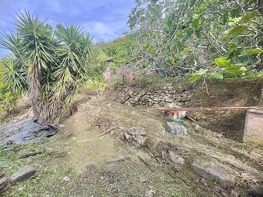 Immagine 16 di Terreno residenziale in vendita  a Marciana