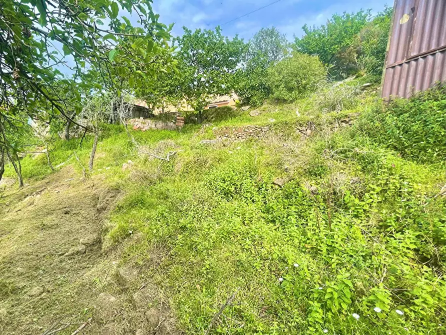 Immagine 17 di Terreno residenziale in vendita  a Marciana