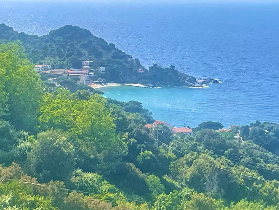 Immagine 19 di Terreno residenziale in vendita  a Marciana
