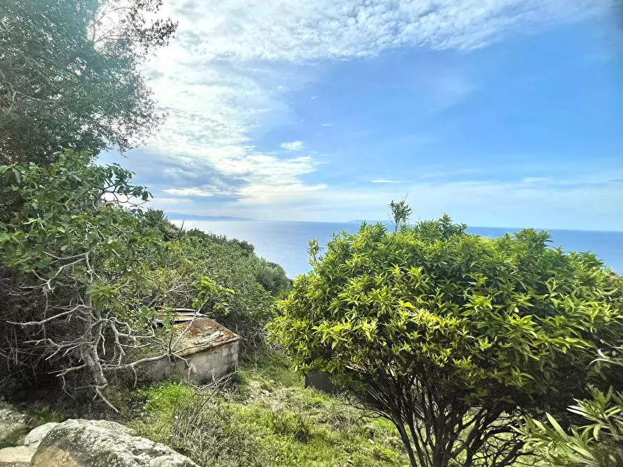 Immagine 20 di Terreno residenziale in vendita  a Marciana