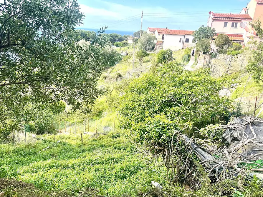 Immagine 21 di Terreno residenziale in vendita  a Marciana