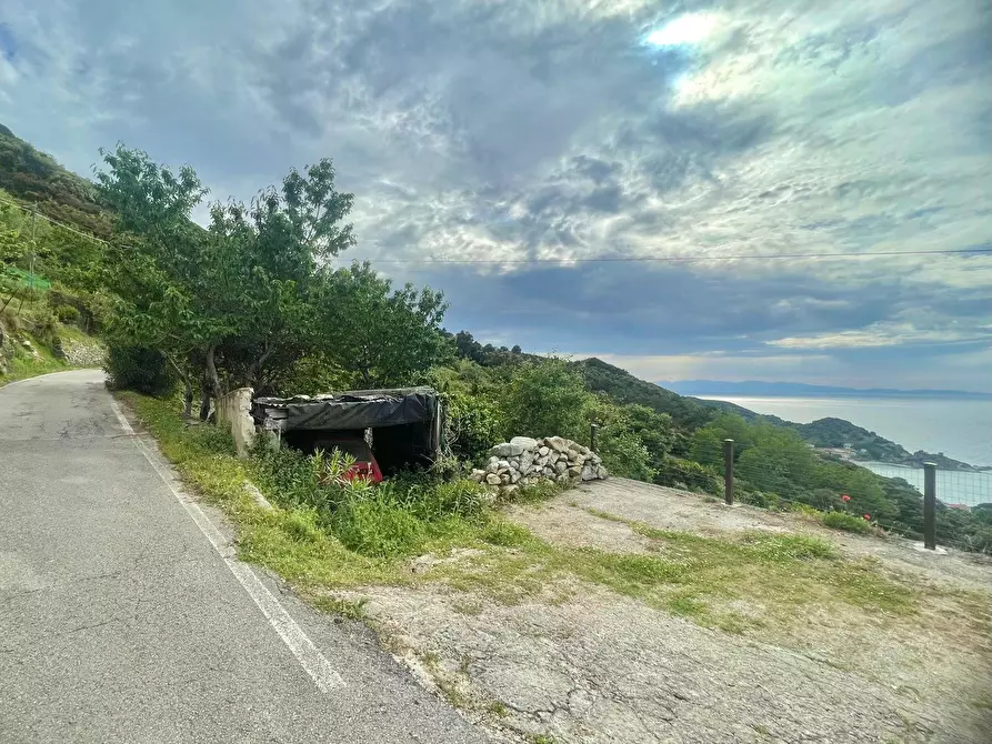 Immagine 23 di Terreno residenziale in vendita  a Marciana