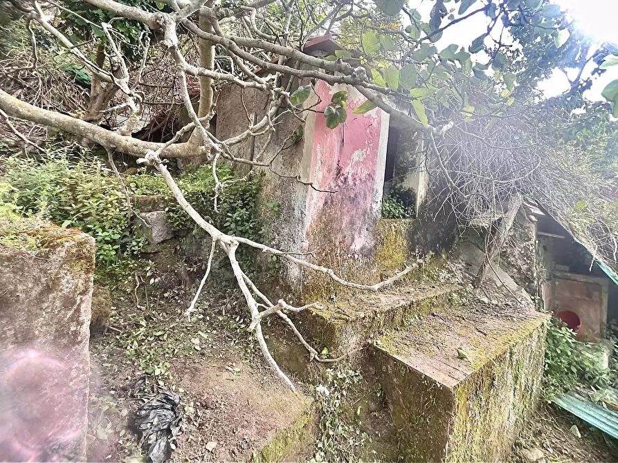 Immagine 24 di Terreno residenziale in vendita  a Marciana