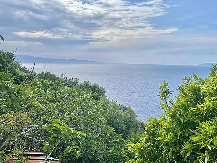 Immagine 25 di Terreno residenziale in vendita  a Marciana