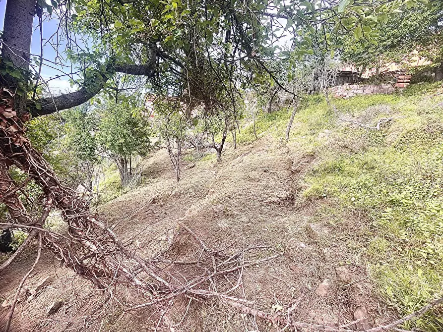 Immagine 26 di Terreno residenziale in vendita  a Marciana