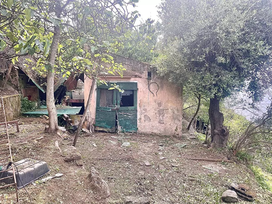 Immagine 27 di Terreno residenziale in vendita  a Marciana