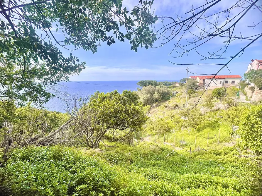 Immagine 28 di Terreno residenziale in vendita  a Marciana